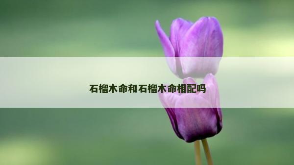 石榴木命和石榴木命相配吗