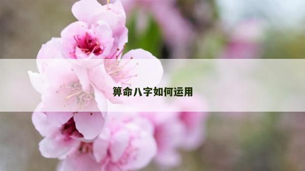 箅命八字如何运用