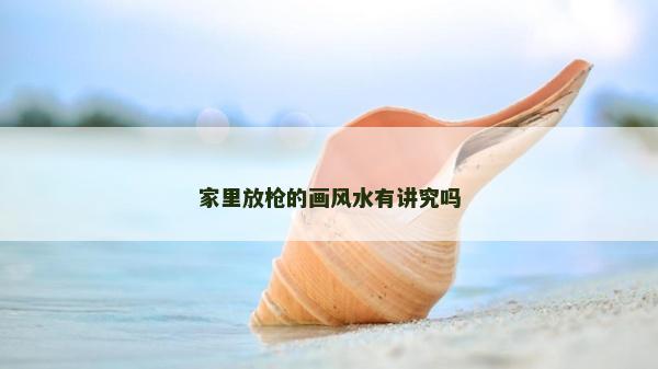 家里放枪的画风水有讲究吗