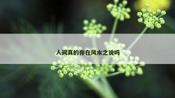 人间真的存在风水之说吗