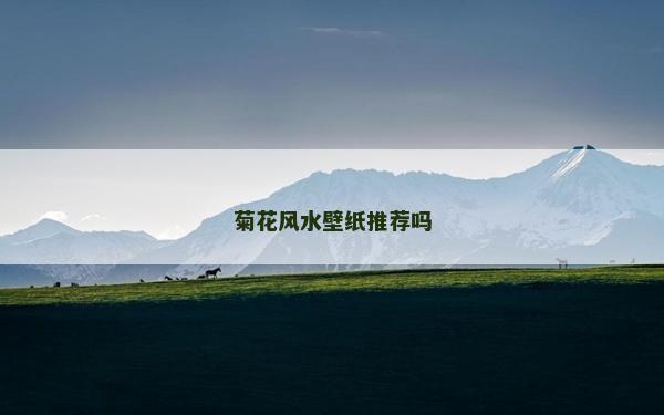 菊花风水壁纸推荐吗