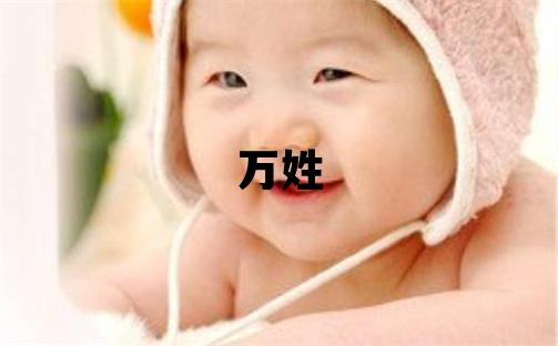 万姓有涵养的女宝宝名字