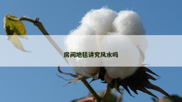 房间地毯讲究风水吗