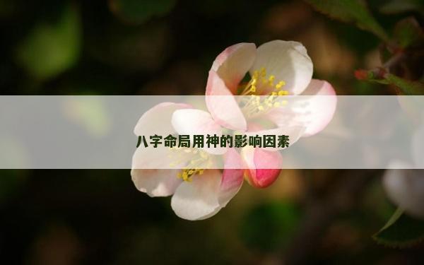 八字命局用神的影响因素