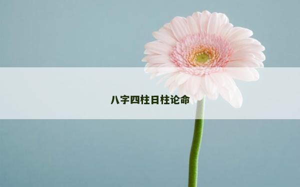 八字四柱日柱论命