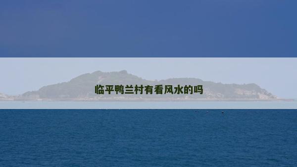 临平鸭兰村有看风水的吗