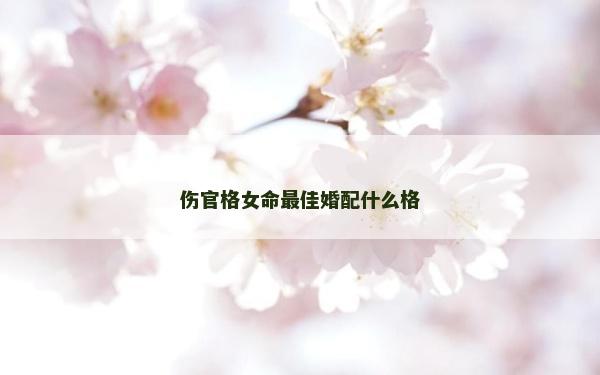 伤官格女命最佳婚配什么格