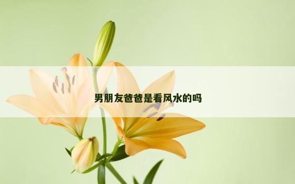 男朋友爸爸是看风水的吗