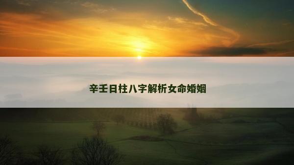 辛壬日柱八字解析女命婚姻