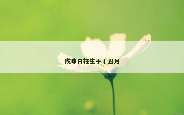 戊申日柱生于丁丑月