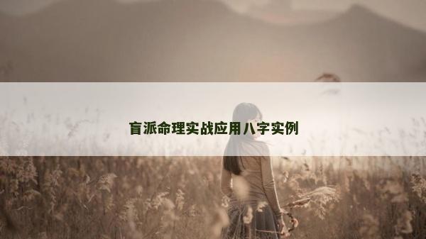 盲派命理实战应用八字实例