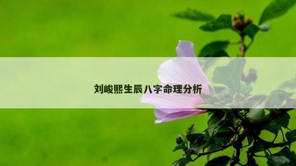 刘峻熙生辰八字命理分析