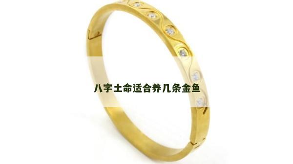 八字土命适合养几条金鱼