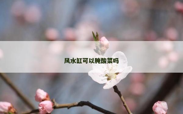 风水缸可以腌酸菜吗