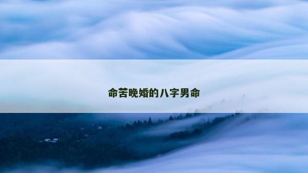 命苦晚婚的八字男命
