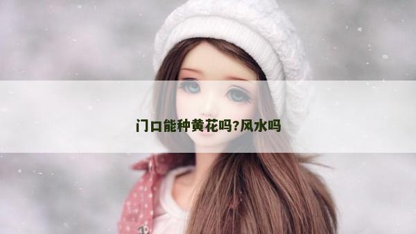 门口能种黄花吗?风水吗