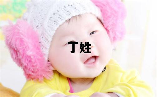 丁姓有智慧才气的女孩名字