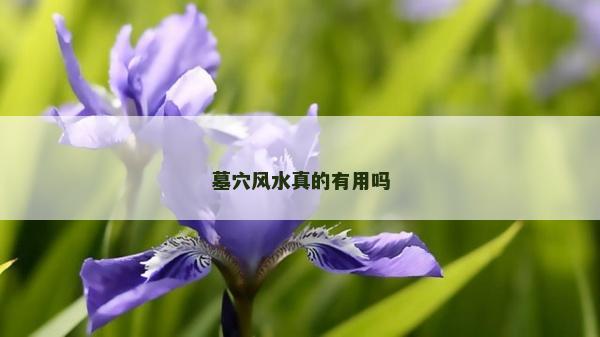 墓穴风水真的有用吗