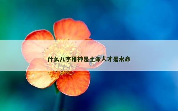 什么八字用神是土命人才是水命