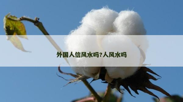 外国人信风水吗?人风水吗