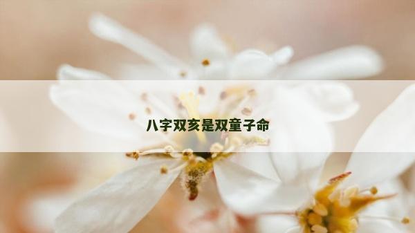 八字双亥是双童子命