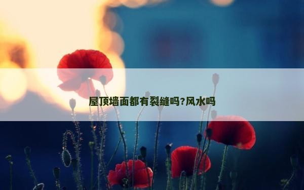 屋顶墙面都有裂缝吗?风水吗