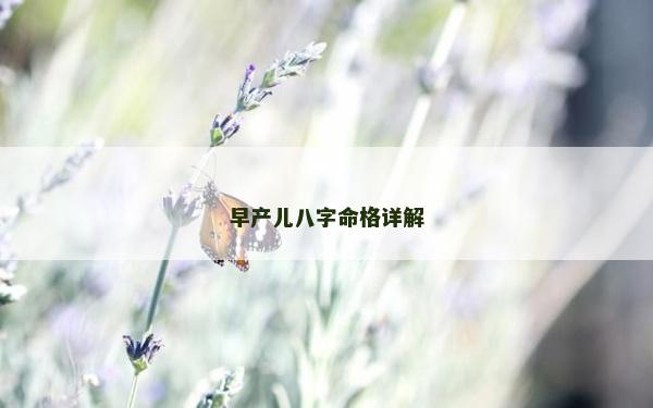 早产儿八字命格详解