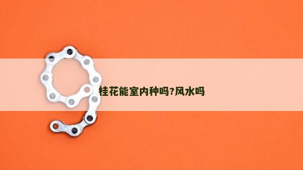 桂花能室内种吗?风水吗
