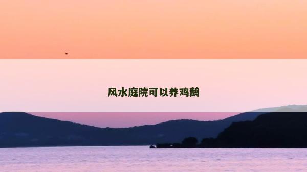 风水庭院可以养鸡鹅