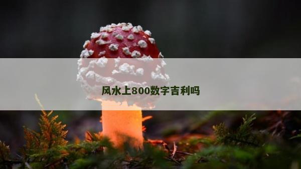 风水上800数字吉利吗