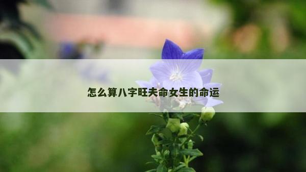 怎么算八字旺夫命女生的命运