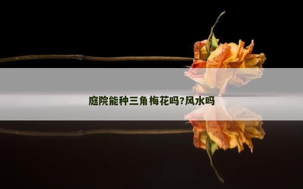 庭院能种三角梅花吗?风水吗
