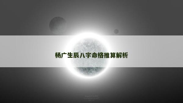 杨广生辰八字命格推算解析