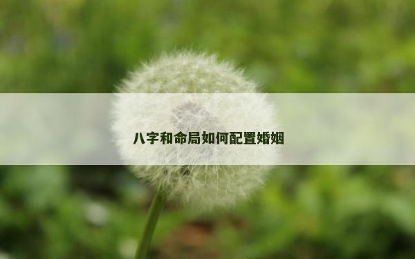 八字和命局如何配置婚姻