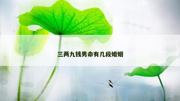 三两九钱男命有几段婚姻