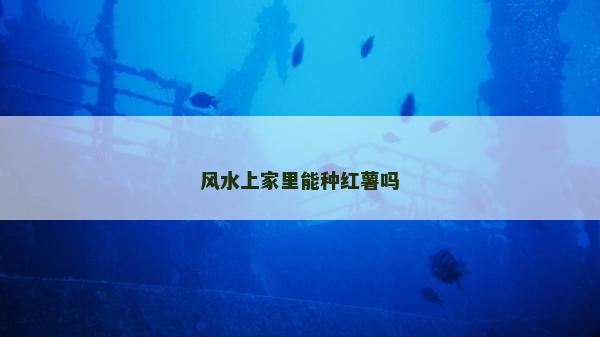 风水上家里能种红薯吗