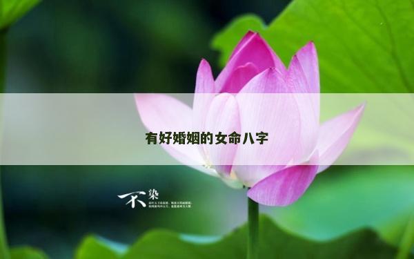 有好婚姻的女命八字
