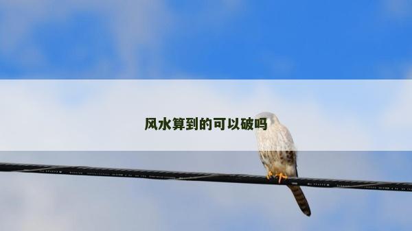 风水算到的可以破吗