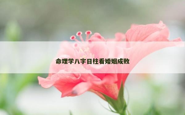 命理学八字日柱看婚姻成败
