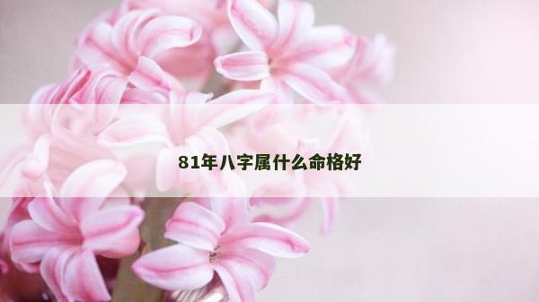 81年八字属什么命格好