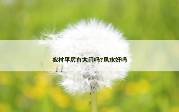 农村平房有大门吗?风水好吗