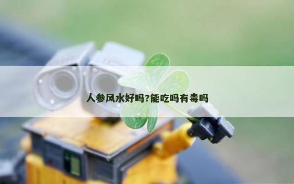 人参风水好吗?能吃吗有毒吗