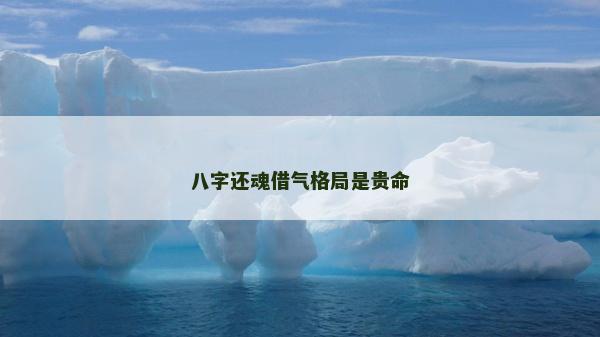 八字还魂借气格局是贵命