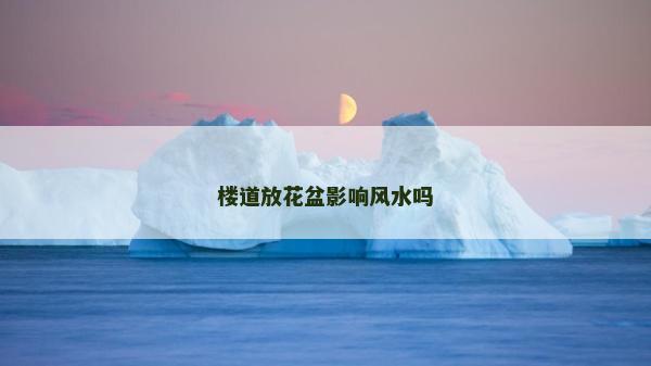 楼道放花盆影响风水吗