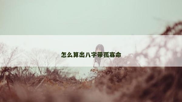 怎么算出八字带孤寡命
