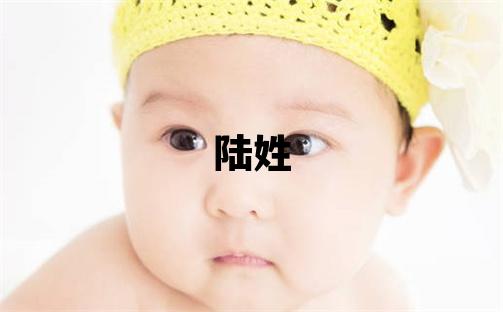 陆姓有含义的男孩名字,取什么名字好