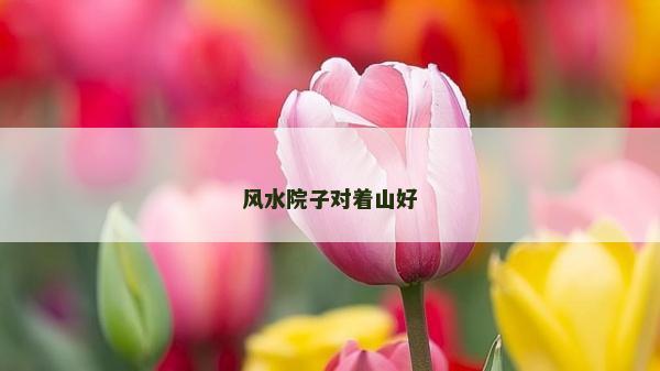 风水院子对着山好