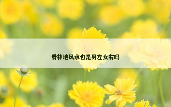 看林地风水也是男左女右吗