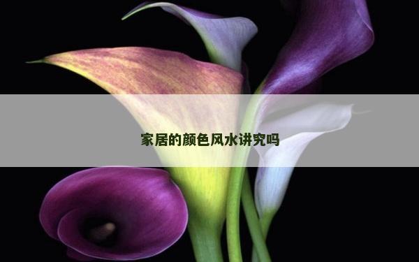 家居的颜色风水讲究吗