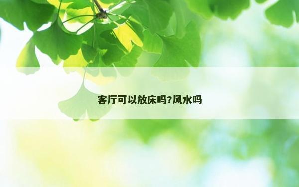 客厅可以放床吗?风水吗